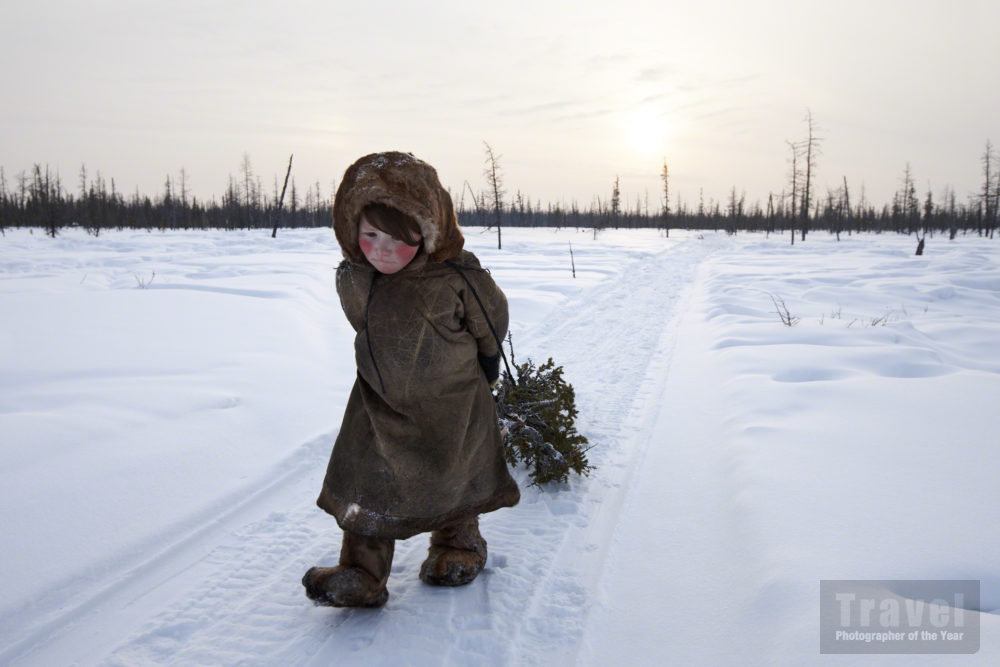 Collecting Firewood, Siberia, Russia