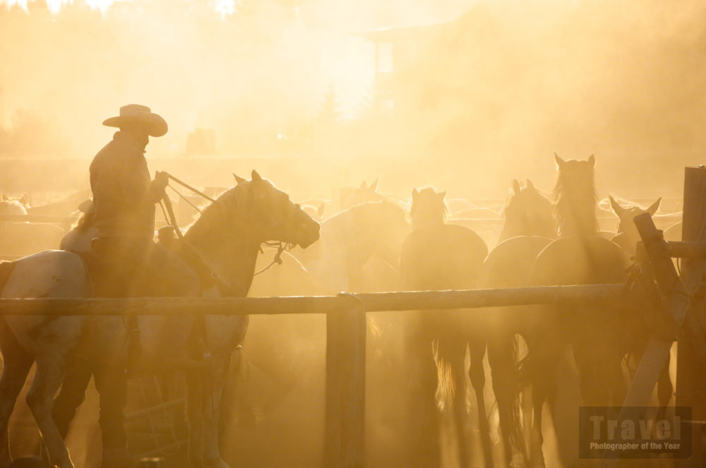 Cowboys, Jackson Hole, Wyoming, USA