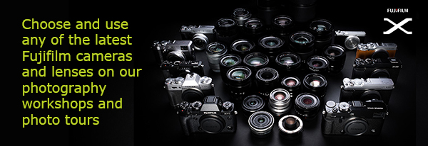 TPOTY Fujifilm